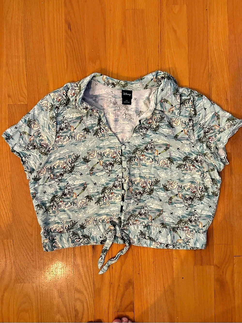 Disney Peter Pan print top Button Front Top in Blue & White Size 2X